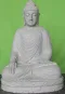 morepic-1